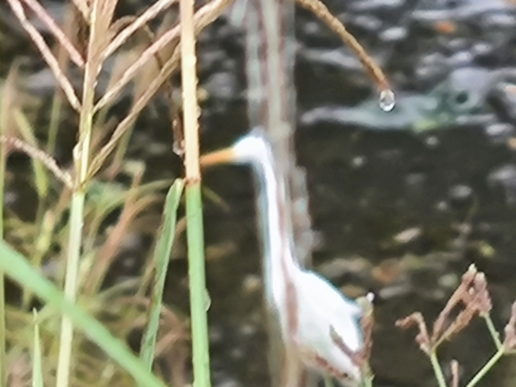 雨の中には  雨の中を …風の中には  風の中を…