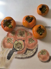 どちらも美味しい