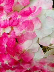 暖かい優しい色