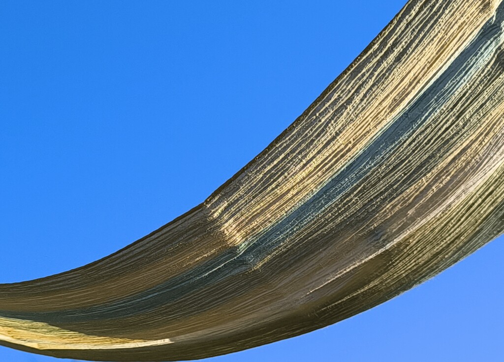 シンデレラの靴かな