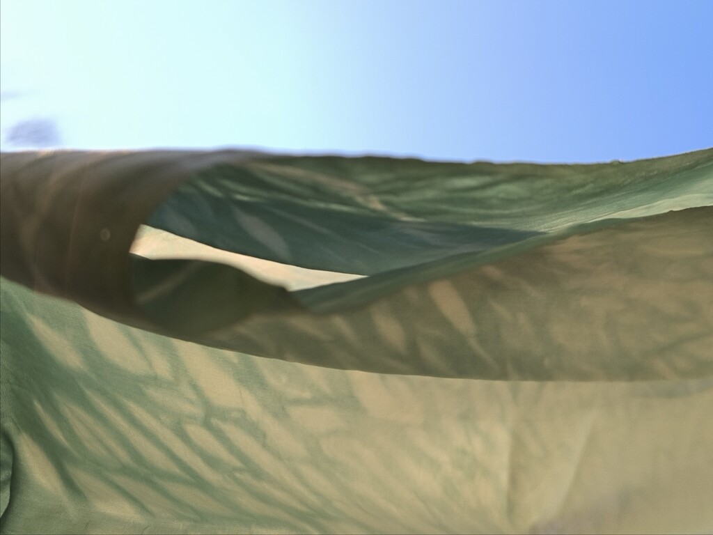 草原のような風景 1