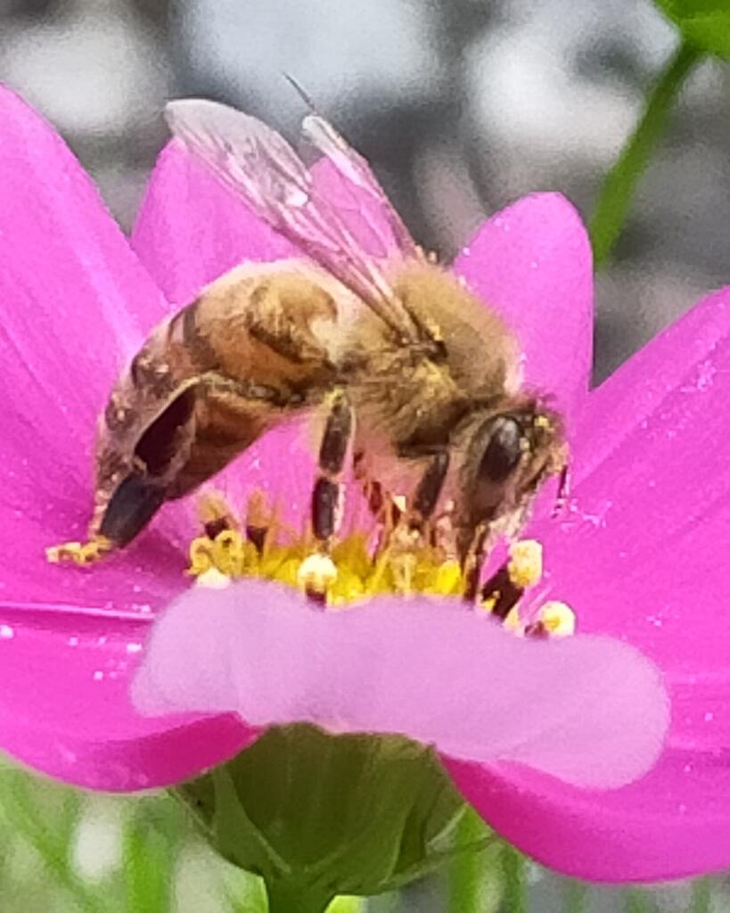 IMG_20221023_170744_384