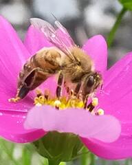 IMG_20221023_170744_384