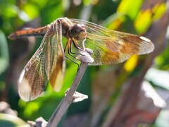 IMG_20221025_193845_543~2