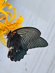 IMG_20241007_141421~2