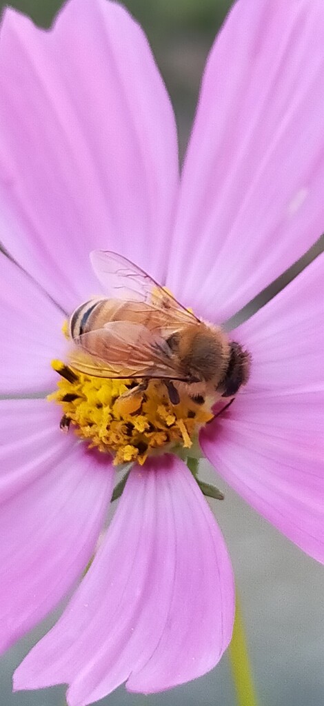 Screenshot_2022-09-26-18-40-03-38