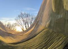 2025年12月31日の朝日