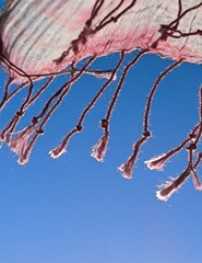 ゆらゆらしているフリフリ