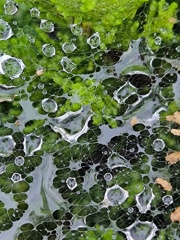 なにかに見えるかな