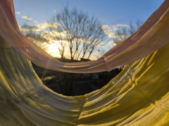 2026年元日の朝日