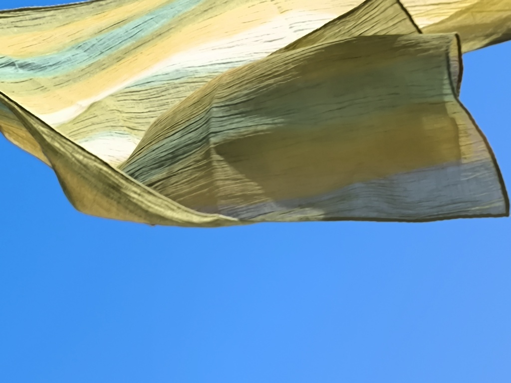 風に委ねて揺れる