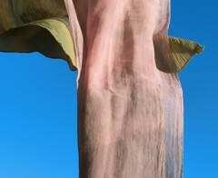 冬の静寂に色彩と躍動感を