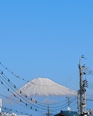 富士山  丸子橋より