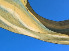 風に委ねて空を飛ぶ