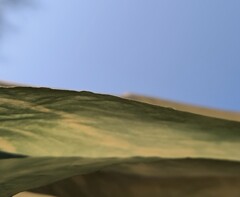 草原のような風景 2