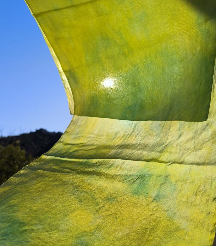 風に揺られている草木染