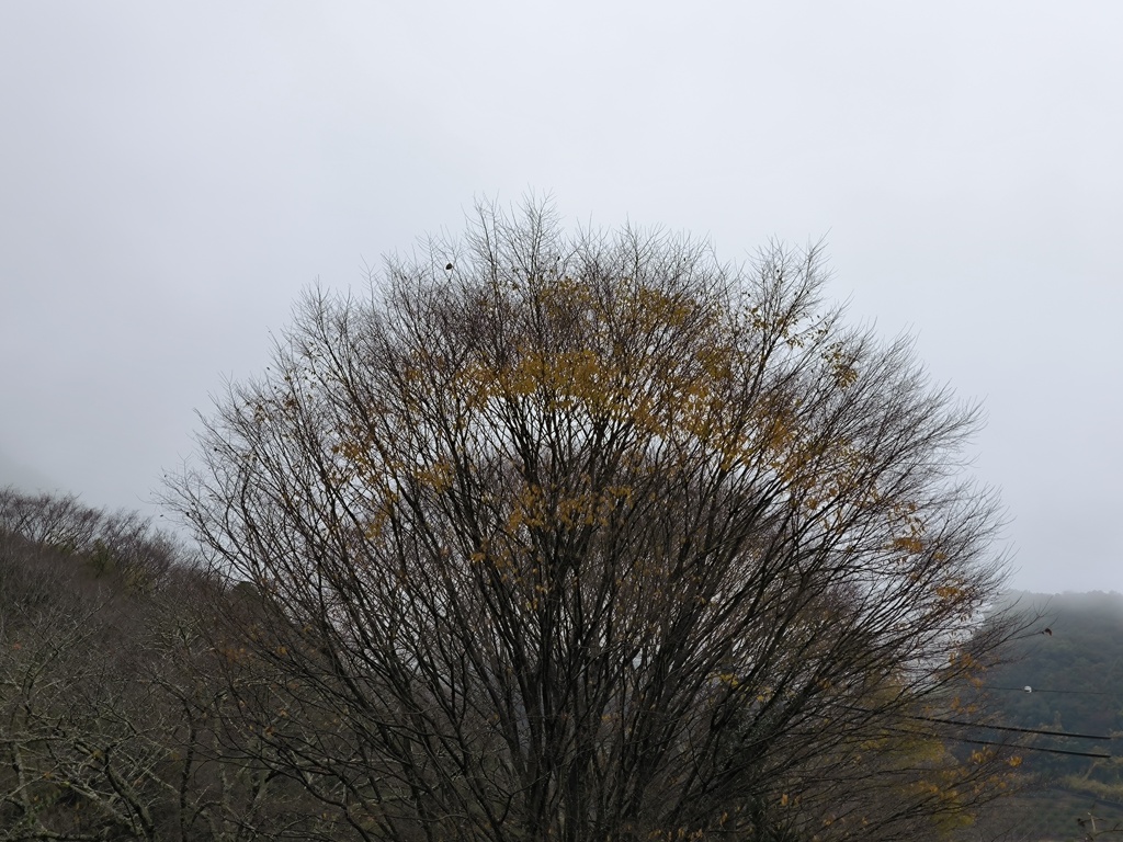 どんよりとした寒い一日