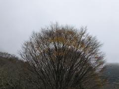 どんよりとした寒い一日