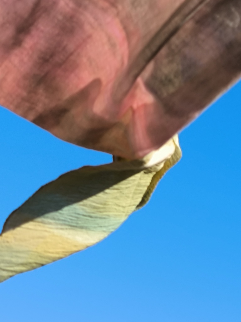 自然な色合いと造形