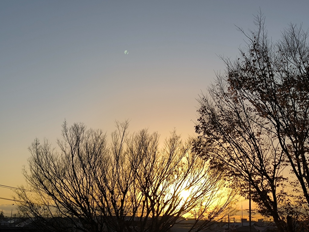 今朝の朝日
