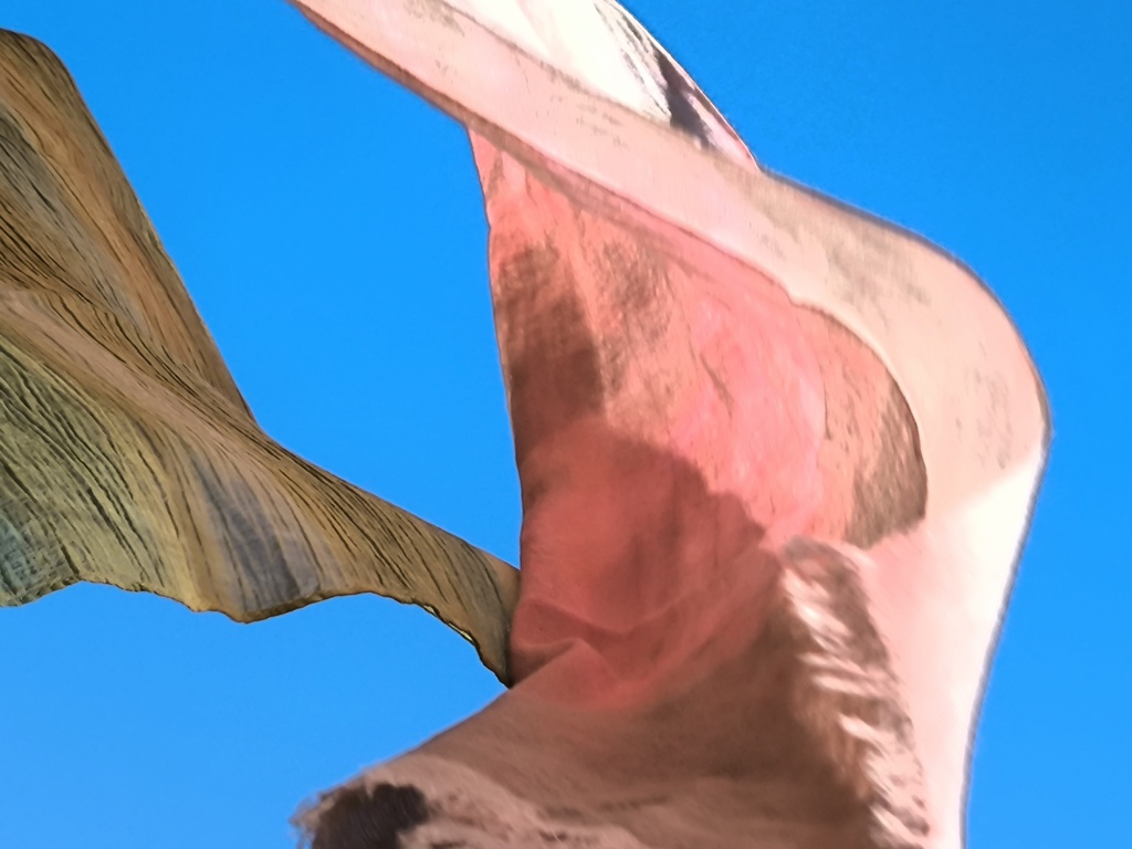 自然な色合いとかたち