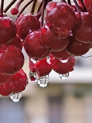 もうじきお正月