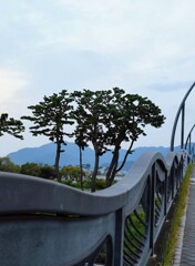 安倍川を渡る橋の上にて