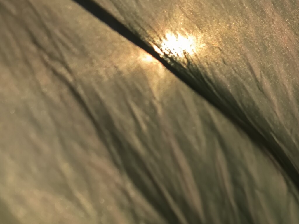 静謐な時間と空間