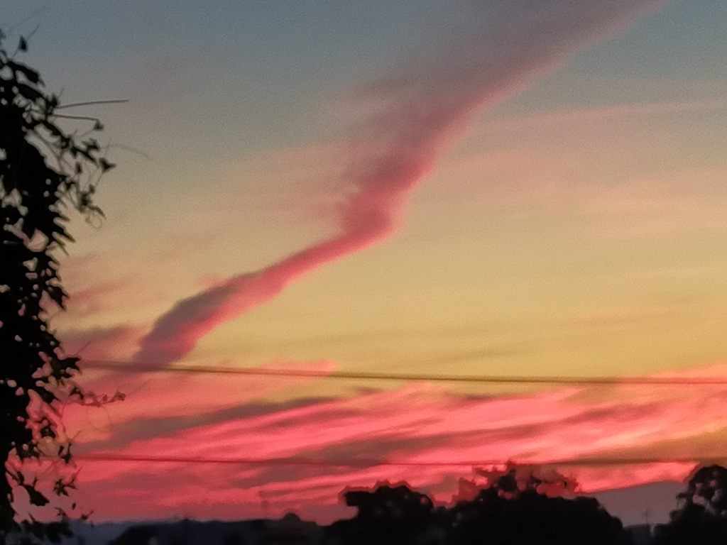 朝日が夕陽に見えます