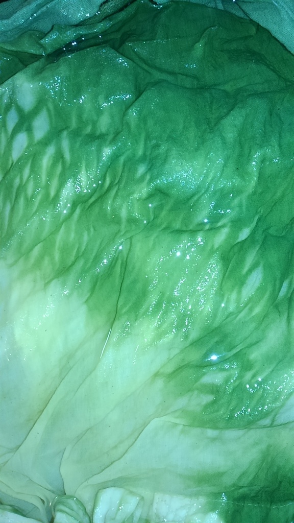 レタスのような色合いの染液