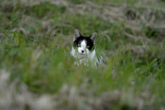 視線感じました