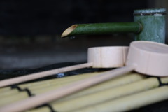 20251207妙成寺⑤