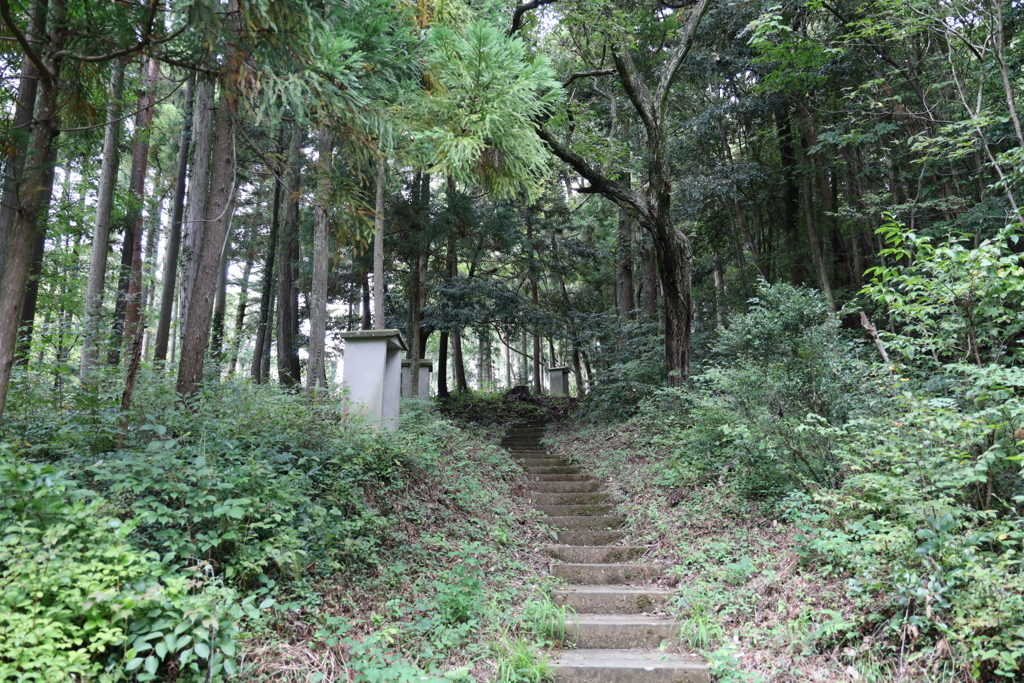 あいうえおのいってきます