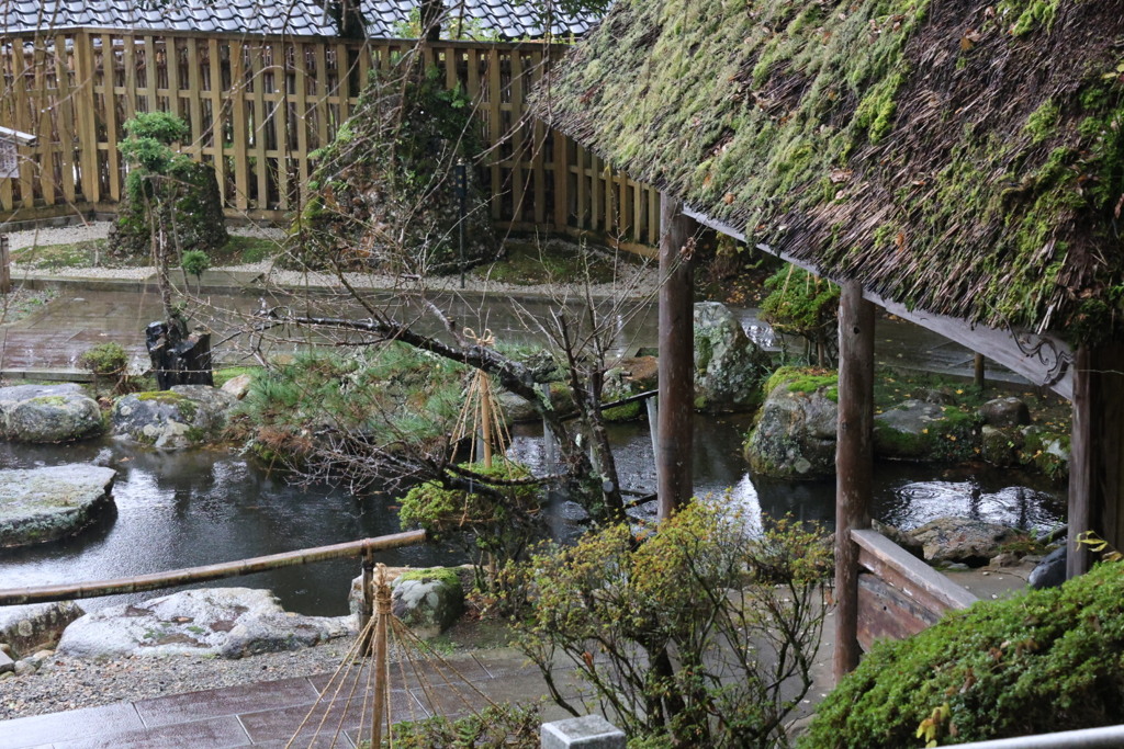 20251207妙成寺⑥