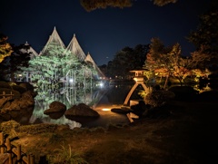 兼六園ライトアップ⑥