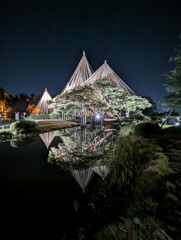 兼六園ライトアップ⑤