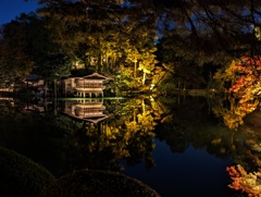 兼六園ライトアップ①