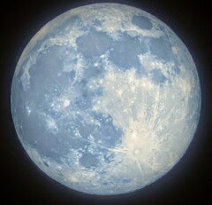 月ってこんなんなん？