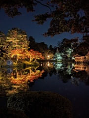 兼六園ライトアップ⑦