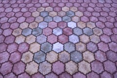 花…でしょう。