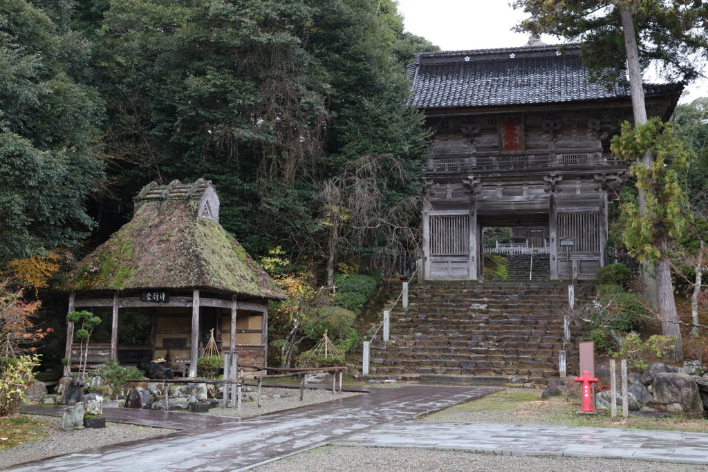 20251207妙成寺①