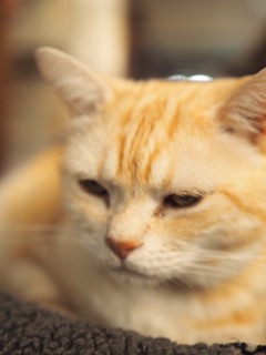 まったり、ぐるぐる。