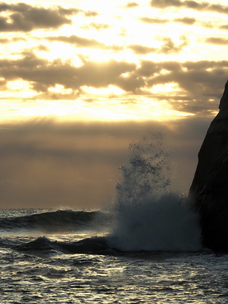 光を受け止める波