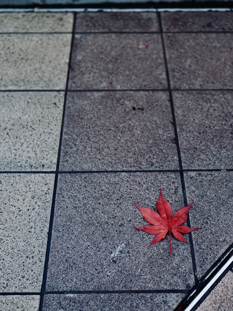 踏まれないまま