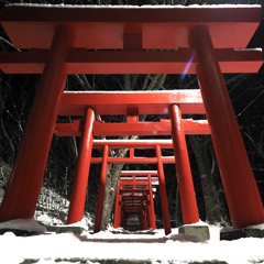 雪の夜の参道