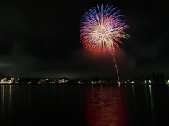 夜を照らした光の花