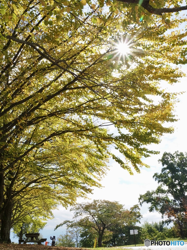 長野アルプス公園