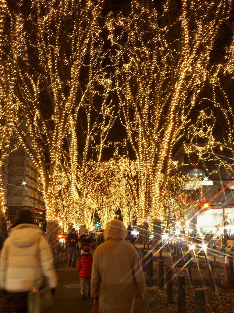 光のページェント