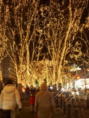 光のページェント