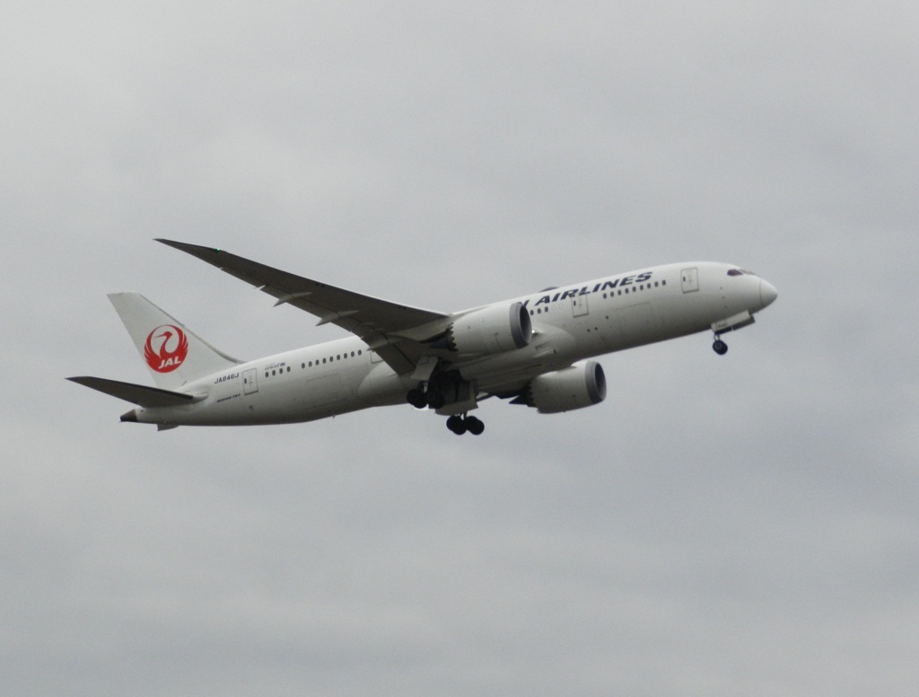 JAL B787-8 福岡空港離陸